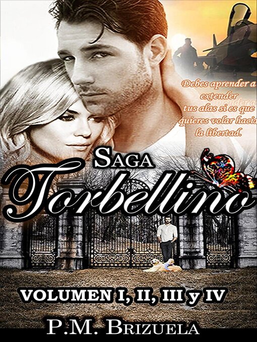 Title details for Torbellino by P.M. Brizuela - Available